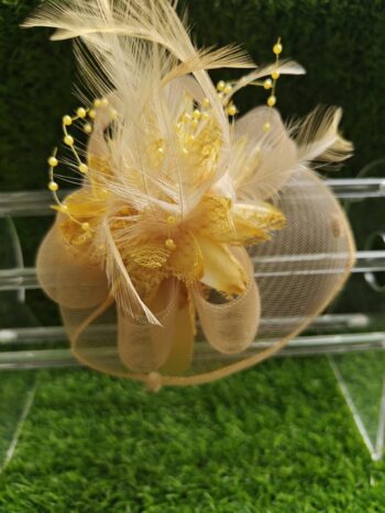 Fascinators